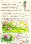 spring-blossoms-willowwood-arboretum-nj-ink-watercolor-sketchbook-page-chris-carter-artist-032612-web